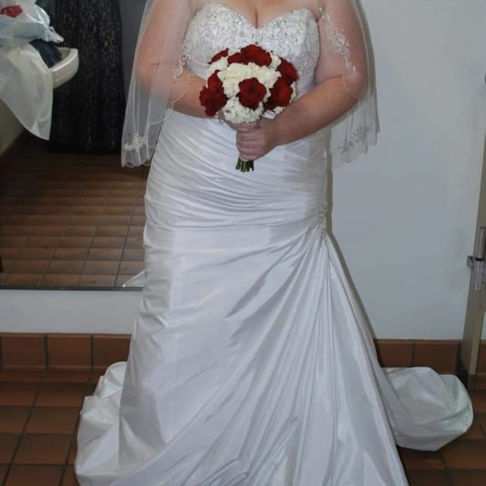 David's Bridal Mermaid Wedding Dress - Picture 3 of 4